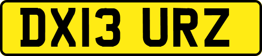 DX13URZ