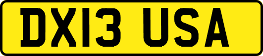 DX13USA