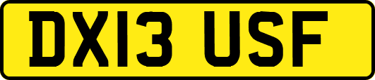 DX13USF