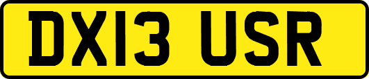 DX13USR