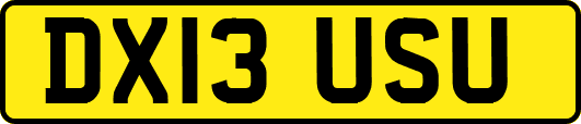 DX13USU