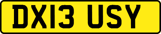 DX13USY