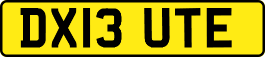 DX13UTE