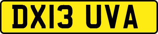 DX13UVA