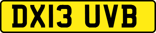 DX13UVB