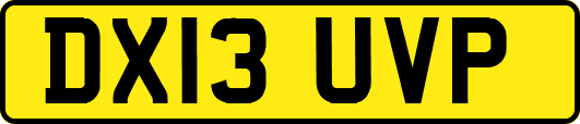 DX13UVP