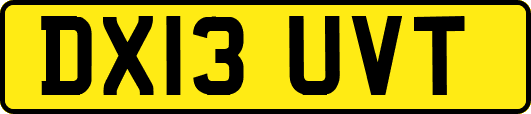 DX13UVT