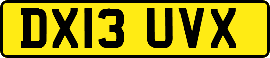 DX13UVX