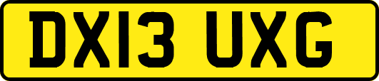 DX13UXG