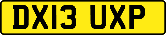 DX13UXP