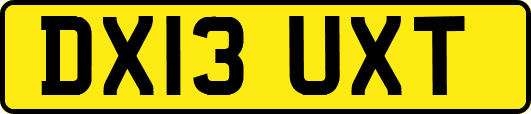 DX13UXT