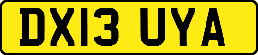 DX13UYA