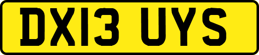 DX13UYS