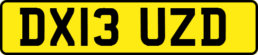DX13UZD