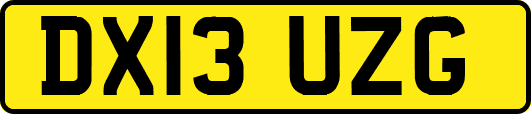DX13UZG