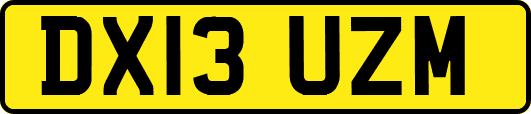 DX13UZM