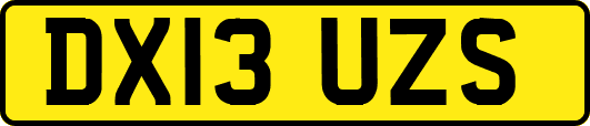 DX13UZS
