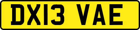 DX13VAE