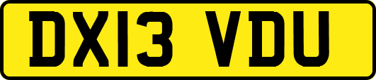 DX13VDU