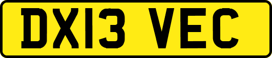 DX13VEC