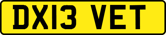 DX13VET