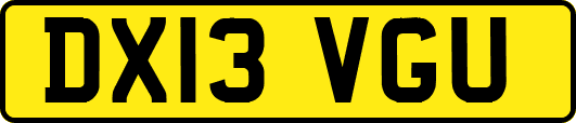 DX13VGU