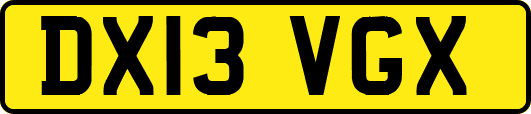 DX13VGX