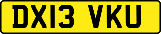 DX13VKU