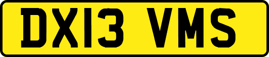 DX13VMS