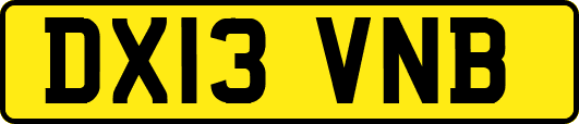 DX13VNB