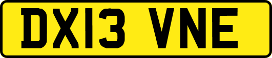 DX13VNE
