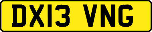 DX13VNG