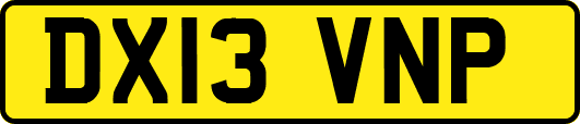 DX13VNP