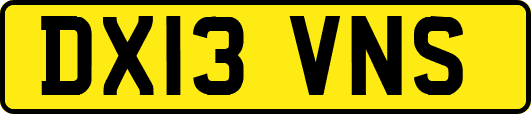 DX13VNS