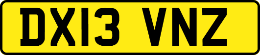 DX13VNZ