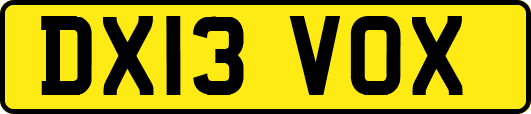 DX13VOX