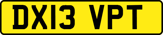 DX13VPT