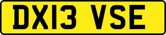 DX13VSE
