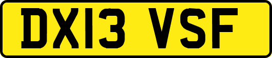 DX13VSF