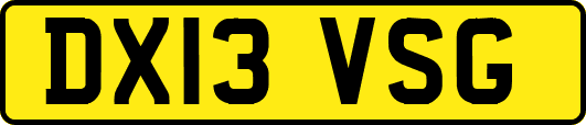 DX13VSG