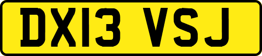 DX13VSJ