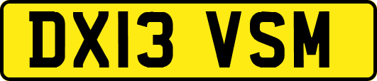 DX13VSM