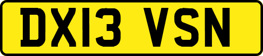 DX13VSN