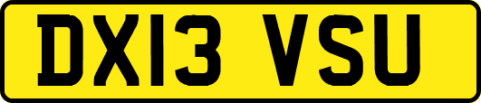 DX13VSU