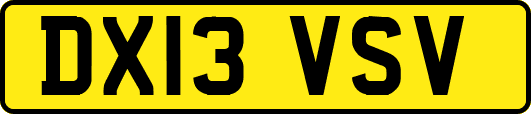 DX13VSV