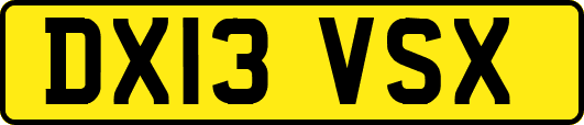 DX13VSX