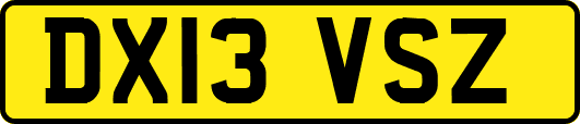 DX13VSZ