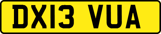 DX13VUA