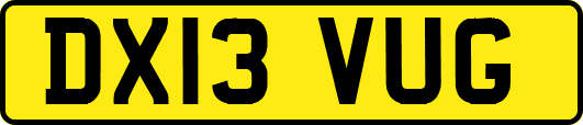 DX13VUG