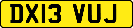DX13VUJ